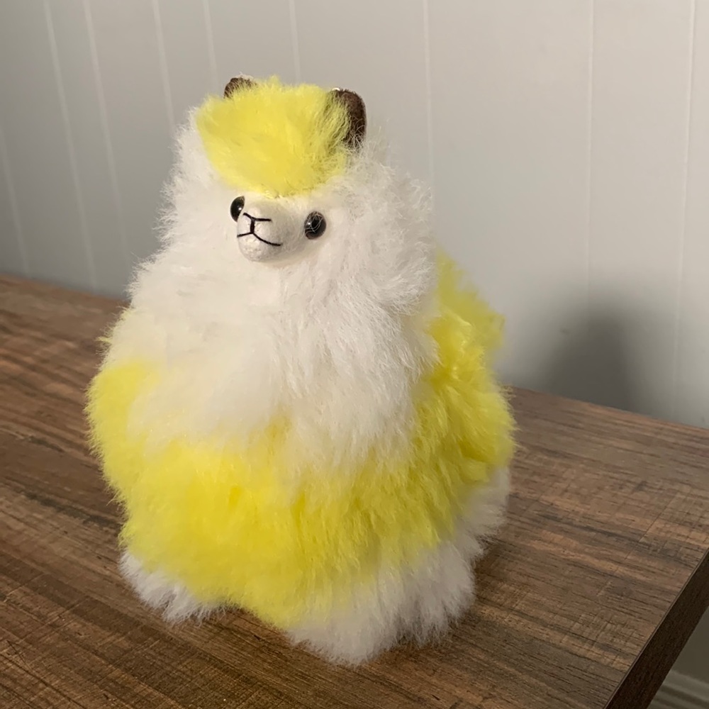Brand new striped Alpaca